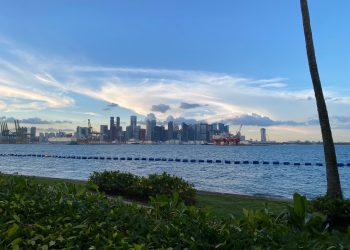 Singaporeans don’t deserve Piyush Gupta